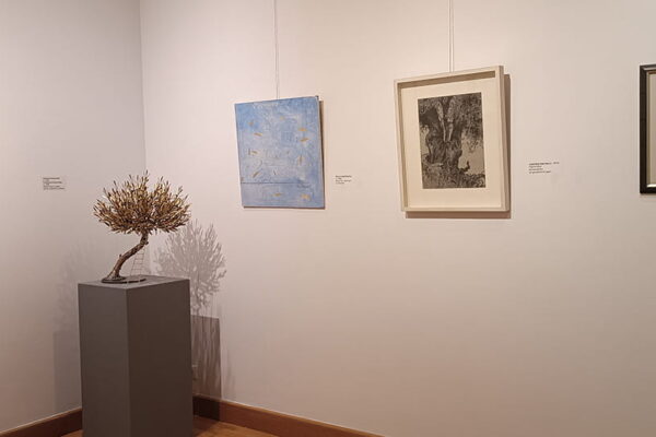 ekthesi-elia-kapnos-10