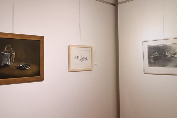 ekthesi-elia-kapnos-15