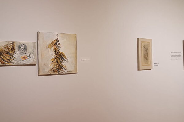 ekthesi-elia-kapnos-16